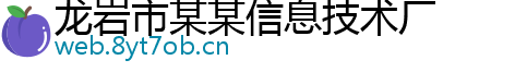 龙岩市某某信息技术厂